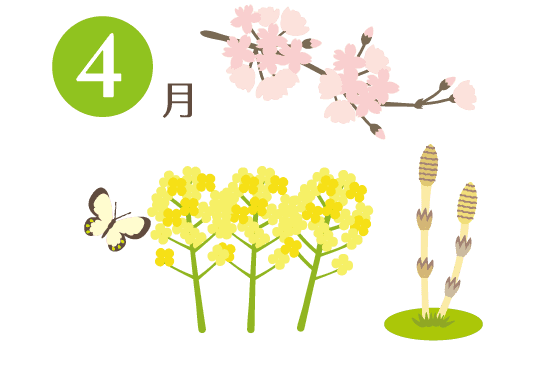 4月 お花見